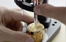 萧邦南气球女多少钱